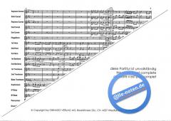 Jarna Polka von Adam Hudec 