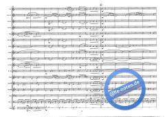 The Young Amadeus (Wolfgang Amadeus Mozart) 