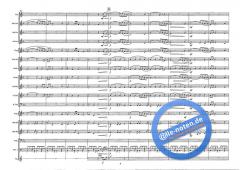 The Young Amadeus (Wolfgang Amadeus Mozart) 