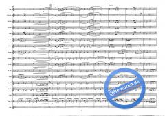 The Young Amadeus (Wolfgang Amadeus Mozart) 