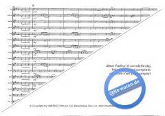 The Young Amadeus (Wolfgang Amadeus Mozart) 