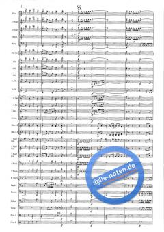 Bel-Air von Goff Richards 