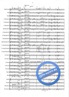 Capriccietto von Urs Heri 