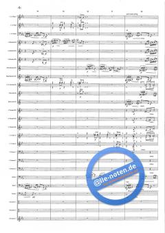 Die geheimnisvolle Maske (S. Jaeggi) 