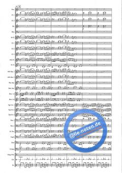 A Mexican Festival (Ray Woodfield) 