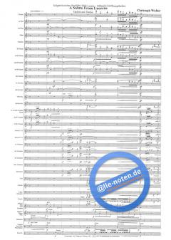 A Salute From Lucerne (Christoph Walter) 