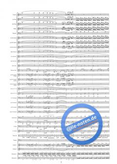 Flyin' To The Skies (Christoph Walter) 