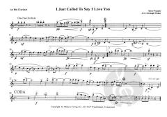 I Just Called To Say I Love You (Stevie Wonder) 