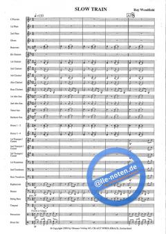 Slow Train von Ray Woodfield 