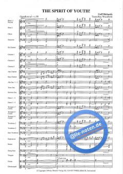 The Spirit Of Youth! (Goff Richards) 