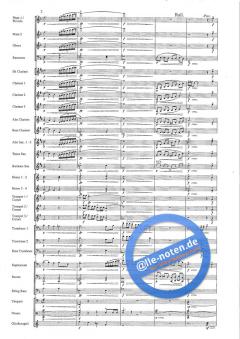 The Spirit Of Youth! (Goff Richards) 