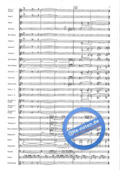 The Spirit Of Youth! (Goff Richards) 