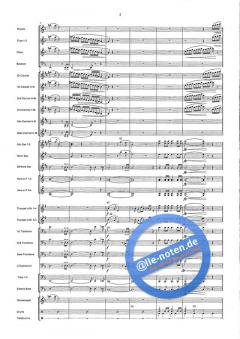 Y-M-C-A von Henri Belolo 