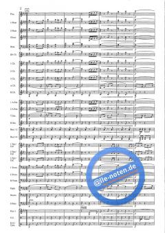 Ein einig Volk (Remo Boggio) 