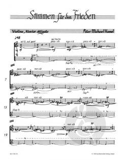 Stimmen für den Frieden (Peter Michael Hamel) 