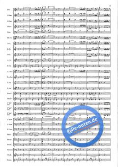 The Red And Blue Shield (Hans J. Honegger) 