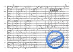 Concerto In D (Guiseppe Tartini) 