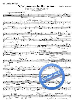 Caro Nome Che Il Mio Cor (Giuseppe Verdi) 