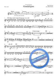 Guadalajara von P. Guizar 