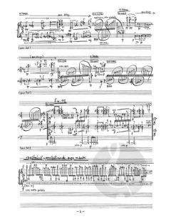 Tableau Miroir von Matthias Pintscher 