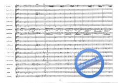 Song Of The Indian Guests (Nikolai Rimski-Korsakow) 