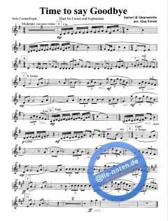 Time To Say Goodbye (Francesco Sartori) 