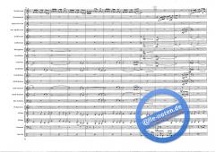 Vivo Per Lei (Valerio Zelli) 