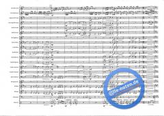 Vivo Per Lei (Valerio Zelli) 