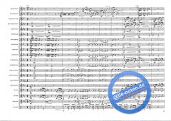 Vivo Per Lei (Valerio Zelli) 