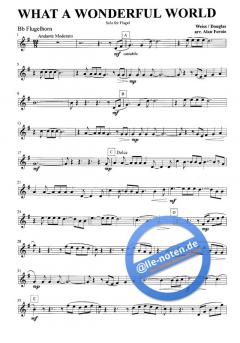 What A Wonderful World 