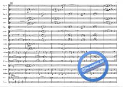 Rag & Bones (Ray Woodfield) 