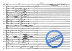 Beautiful Colorado (Joseph de Luca) 