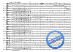 Beautiful Colorado (Joseph de Luca) 