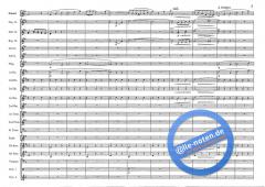 Beautiful Colorado (Joseph de Luca) 