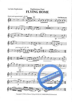 Flying Home (Goff Richards) 