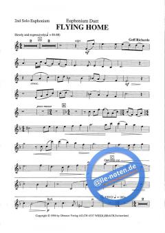 Flying Home (Goff Richards) 