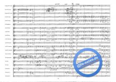 Pilatus Mountain Air (Goff Richards) 