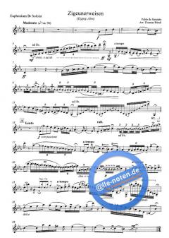 Zigeunerweisen (Gypsy Airs) (Pablo de Sarasate) 