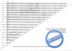 Basso Brazilio (Roy Newsome) 