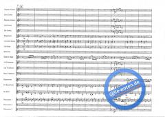 Basso Brazilio (Roy Newsome) 