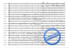 Basso Brazilio (Roy Newsome) 