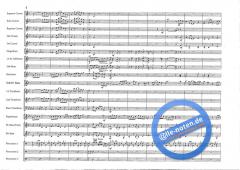 Basso Brazilio (Roy Newsome) 