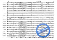 Basso Brazilio (Roy Newsome) 