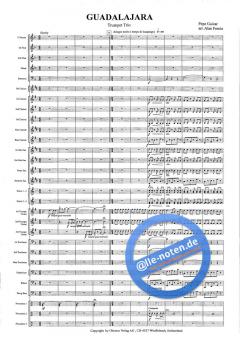 Guadalajara (P. Guizar) 