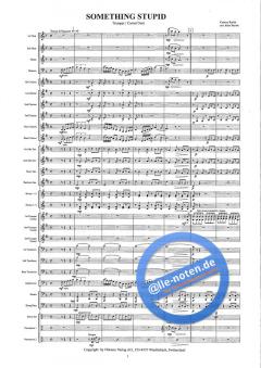 Something Stupid (Carson Parks) 