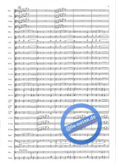 The Faithful Hussar (H. Frantzen) 