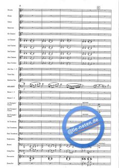 Euphoria von Ray Woodfield 