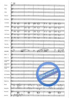 Euphoria von Ray Woodfield 