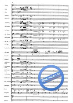 Euphoria von Ray Woodfield 