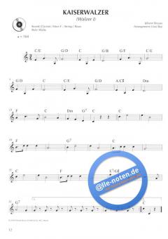 Keyboard spielen - mein schönstes Hobby: Der Konzertband 